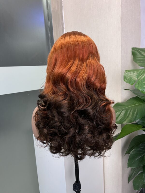 #350/4 Ombre Double Drawn Bouncy Curl 13x4 Transparent Lace Full Frontal 300% Density Wig - Image 4
